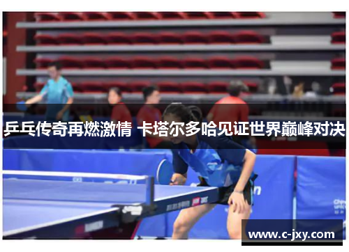 乒乓传奇再燃激情 卡塔尔多哈见证世界巅峰对决