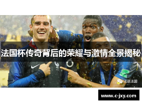 法国杯传奇背后的荣耀与激情全景揭秘