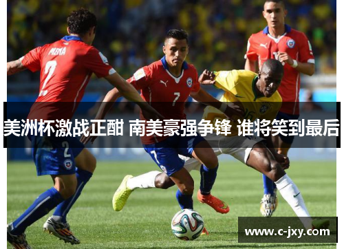 美洲杯激战正酣 南美豪强争锋 谁将笑到最后
