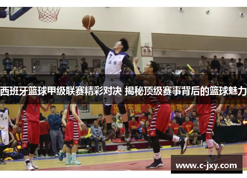 西班牙篮球甲级联赛精彩对决 揭秘顶级赛事背后的篮球魅力