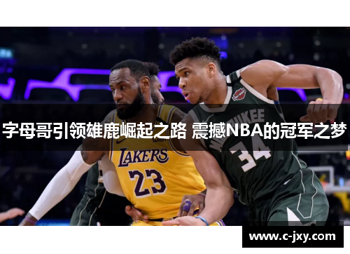 字母哥引领雄鹿崛起之路 震撼NBA的冠军之梦